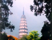 长清后天天气