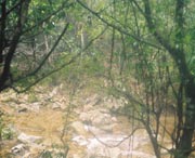 开化后天天气