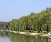 阜南后天天气
