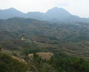 大田后天天气